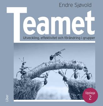 Teamet : Utveckling, effektivitet och förändring i grupper Discount