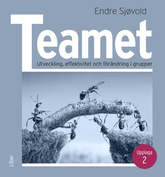 Teamet : Utveckling, effektivitet och förändring i grupper Discount